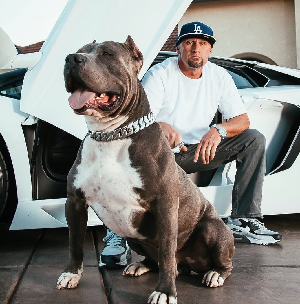 BlingBling | Metalen Honden Ketting