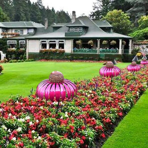 Coneflower Vogel Voederhuisje