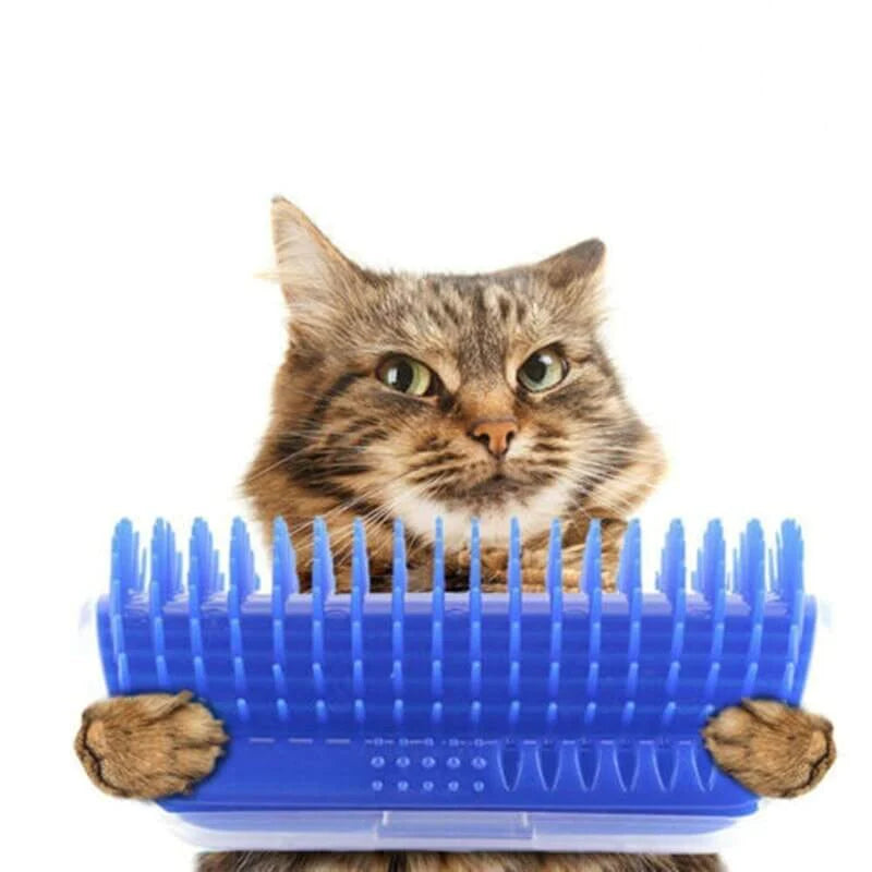 Kattenhoek Groomer