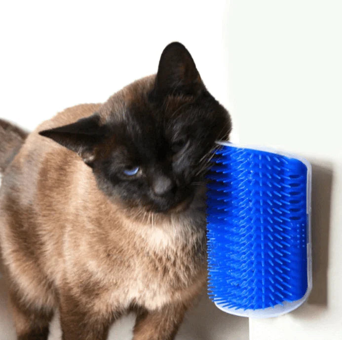 Kattenhoek Groomer