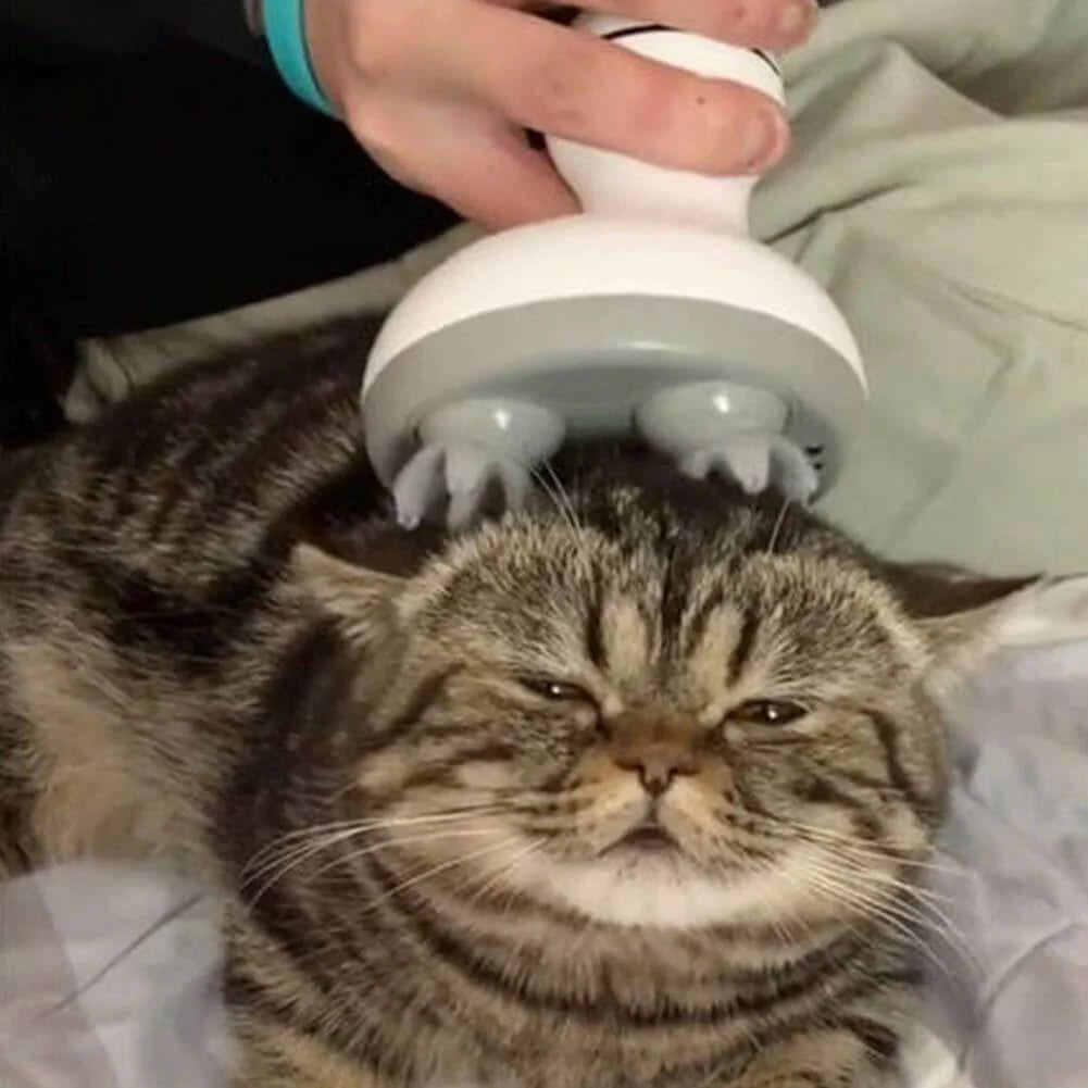 Elektrische Kattenkop Massager