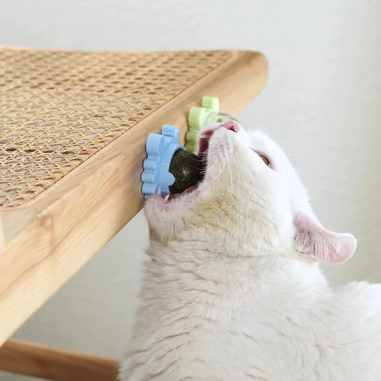 Draaiende Krab Kattenkruidbal