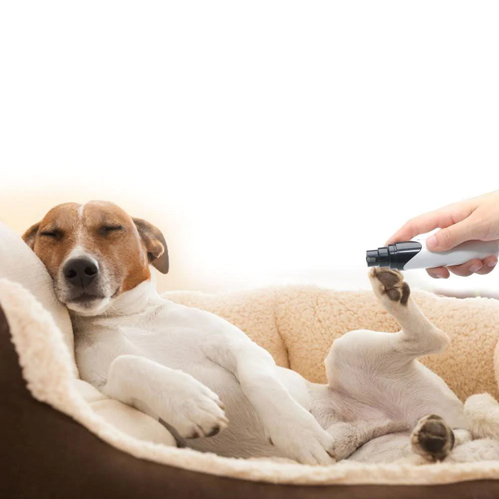 Elektrische Honden Nagelknipper
