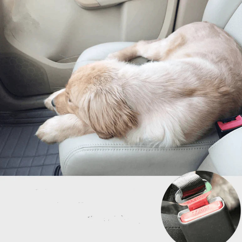 Hond Auto Veiligheidsgordel