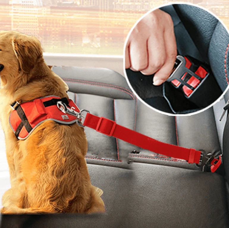 Hond Auto Veiligheidsgordel