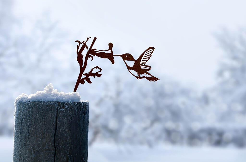 Metalen Kolibrie Kunst Werf