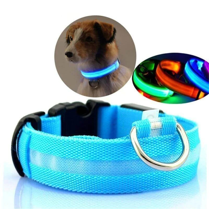 LED Halsband