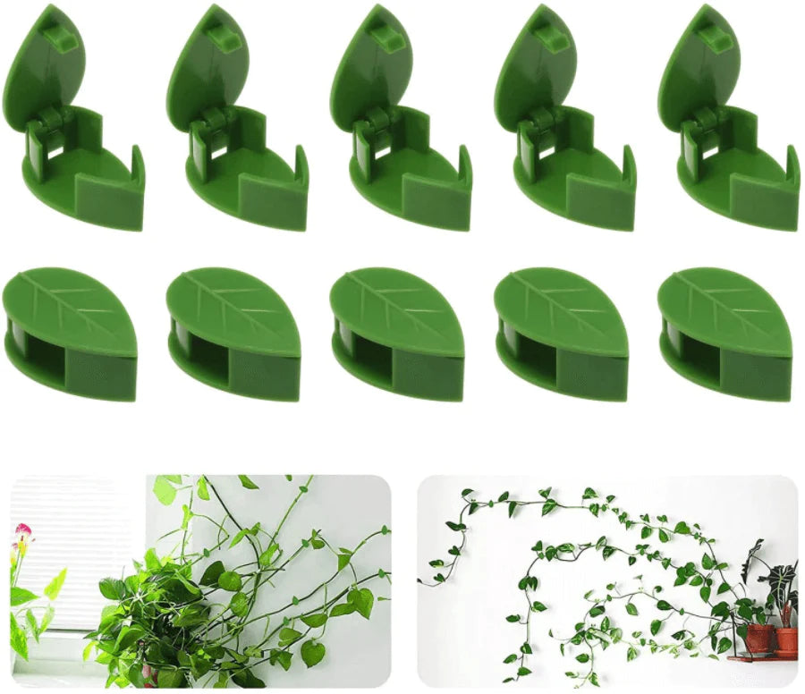 Plant Klimmend Voorwerp Bevestigingsclip