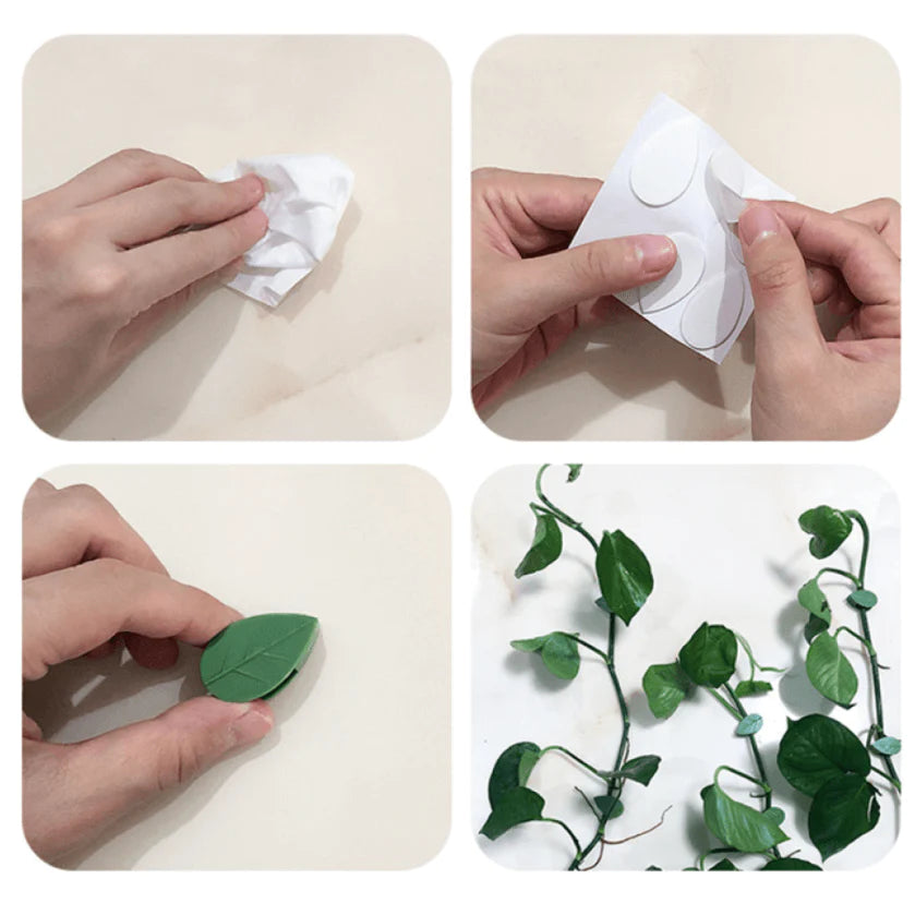 Plant Klimmend Voorwerp Bevestigingsclip