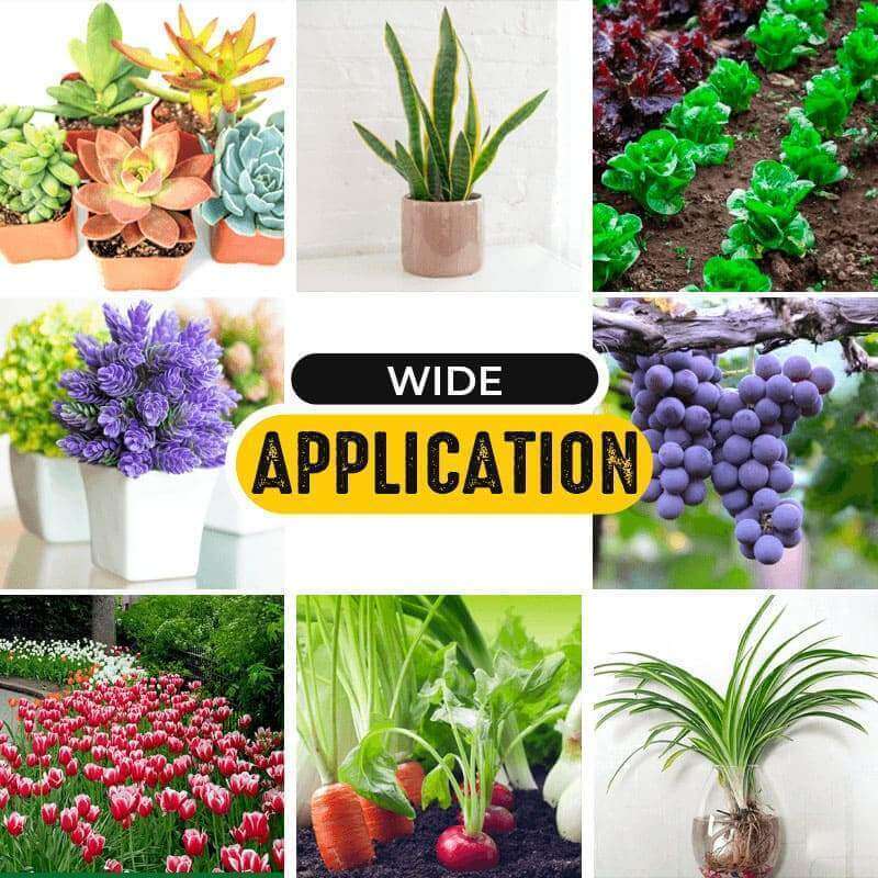 Snelle Groei Wortelpoeder