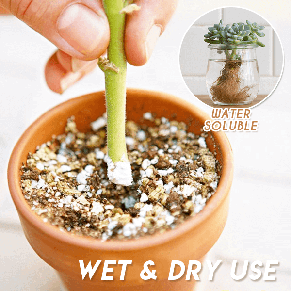 Snelle Groei Wortelpoeder