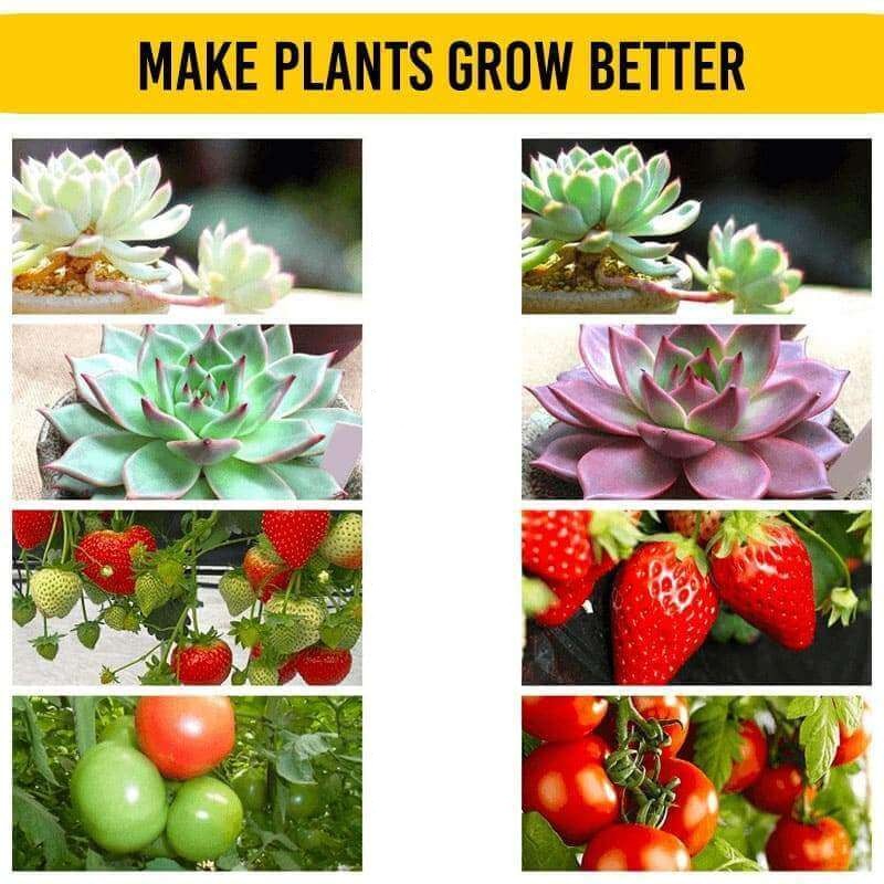 Snelle Groei Wortelpoeder