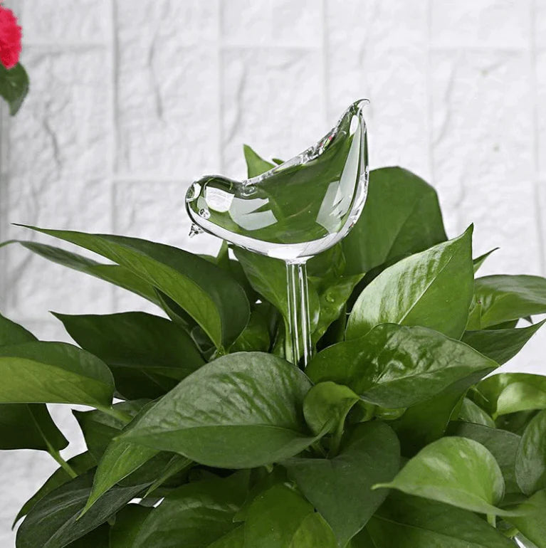 Zelf-drenkende Plantenbol