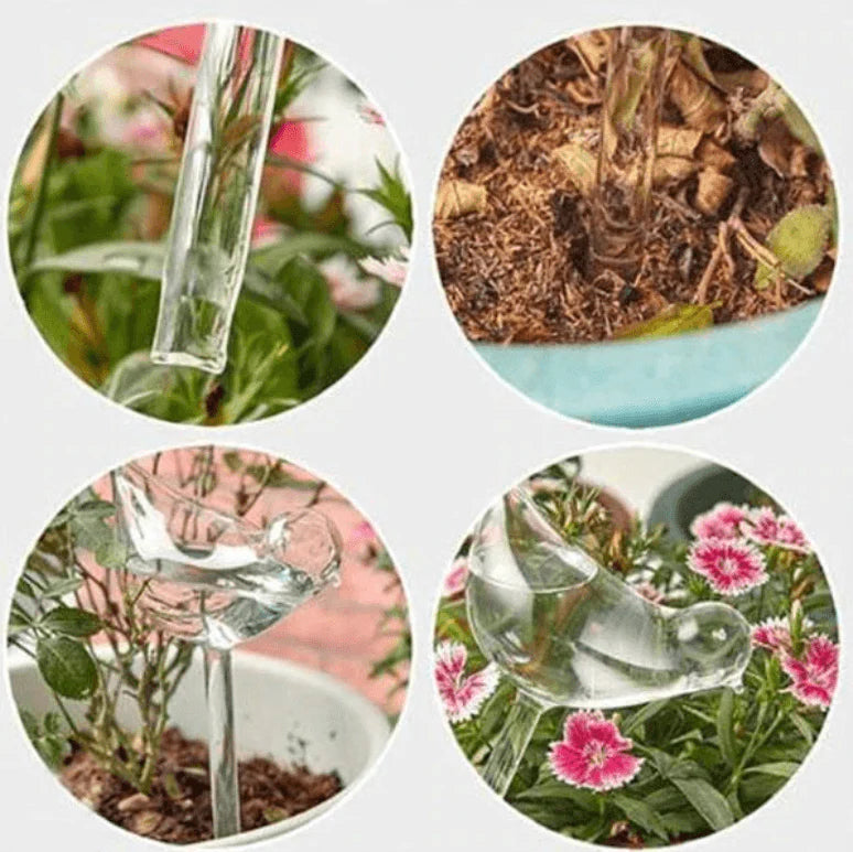 Zelf-drenkende Plantenbol