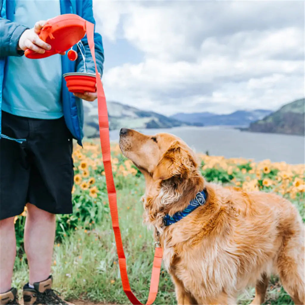 Multifunctionele Nylon Pet Leiband