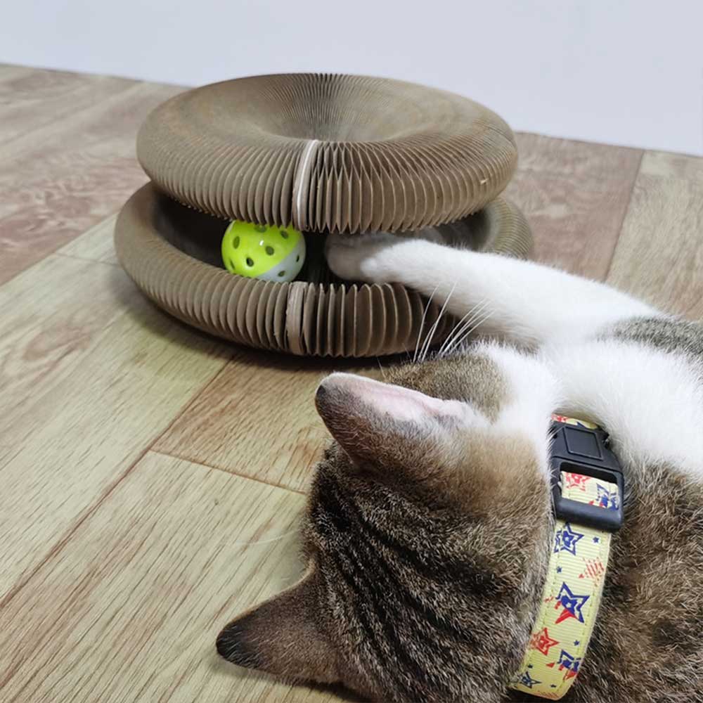 Kattenmagie Krabplank