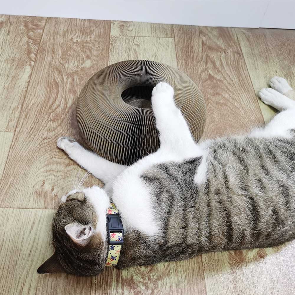 Kattenmagie Krabplank