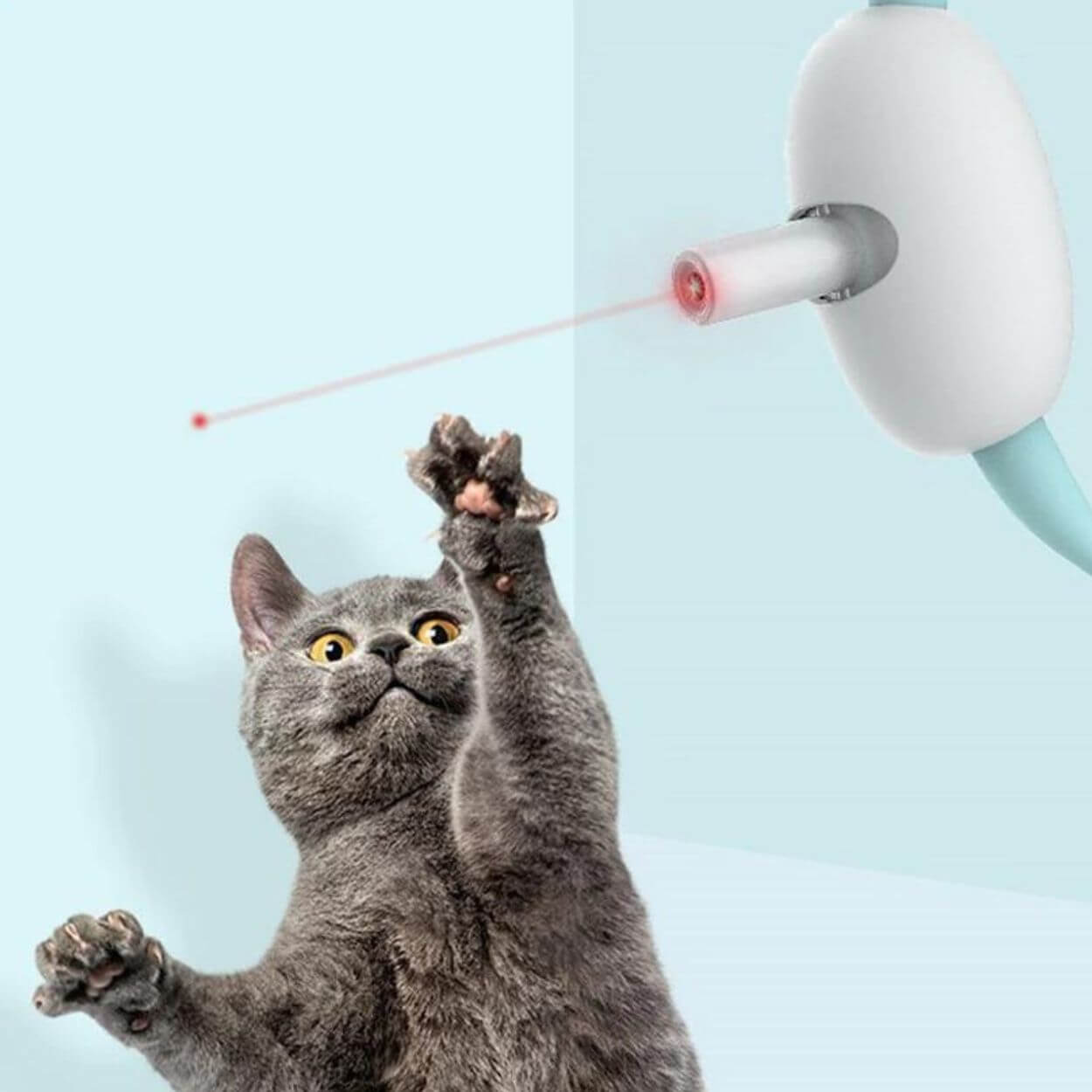 Verstelbare Katten Laserlokker