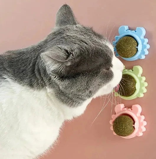 Kattenkruid Roterende Molaar Speelgoed