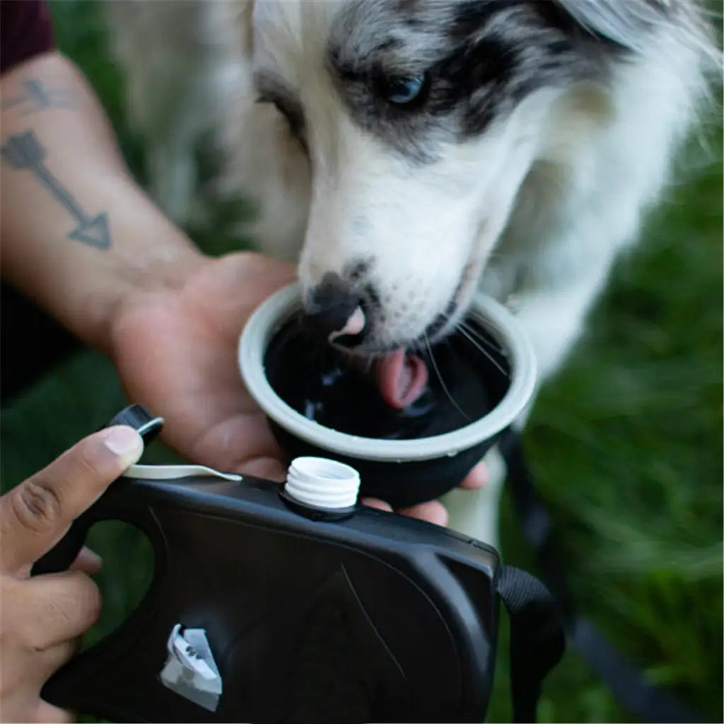 Multifunctionele Nylon Pet Leiband