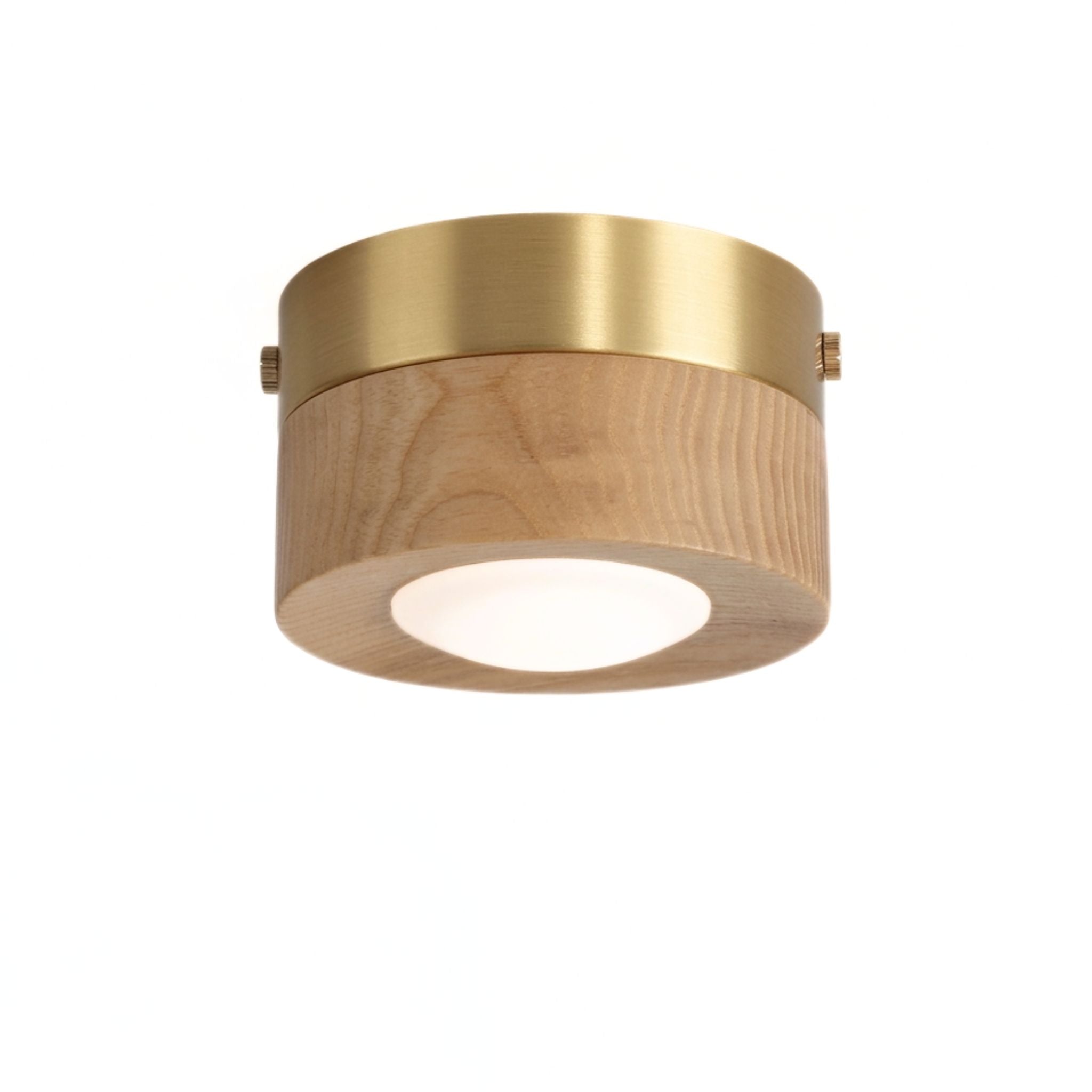 Plafondlamp voor Woonkamer met Natuurlijke Charm