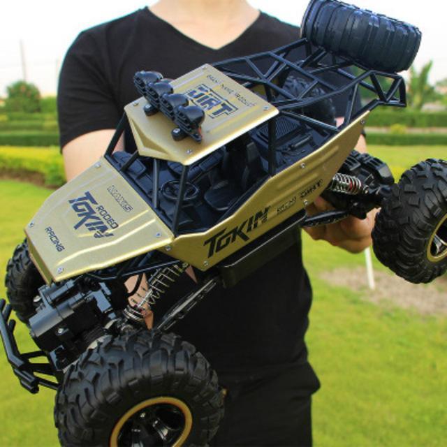 Afstands bestuurbare 4WD RC Auto Offroad Crawler Met Dubbele Motor 10