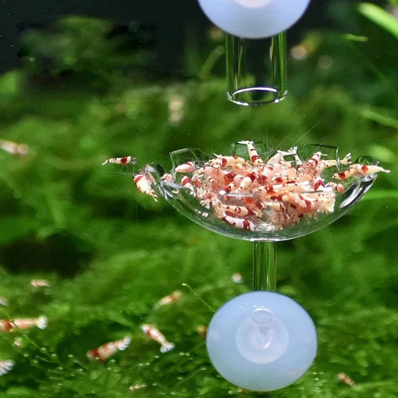 Aquarium Garnalenvoerbak voor Tropische Vissen 3