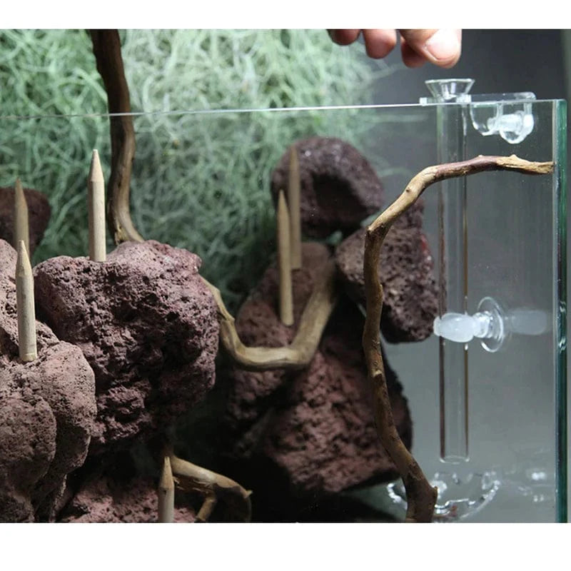 Aquarium Garnalenvoerbak voor Tropische Vissen 4