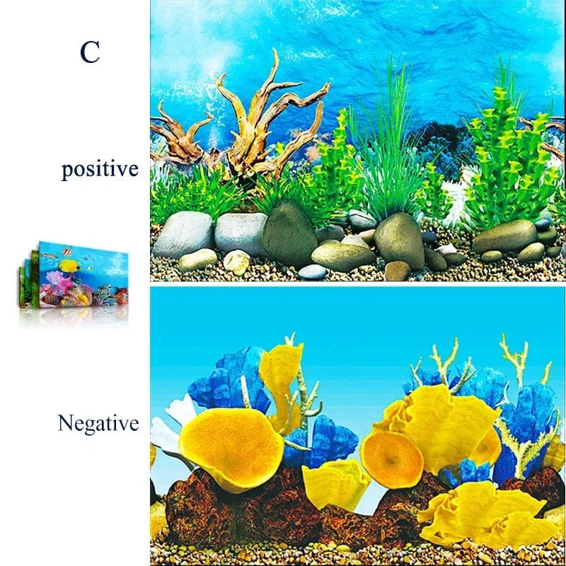 Aquariumdecoratie 3D Achtergrond Voor Realistische Ervaring 8