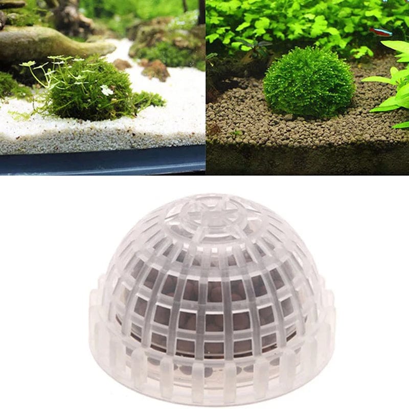 Aquariumdecoratie Mosbal Voor Garnalen Decoratief Element 0