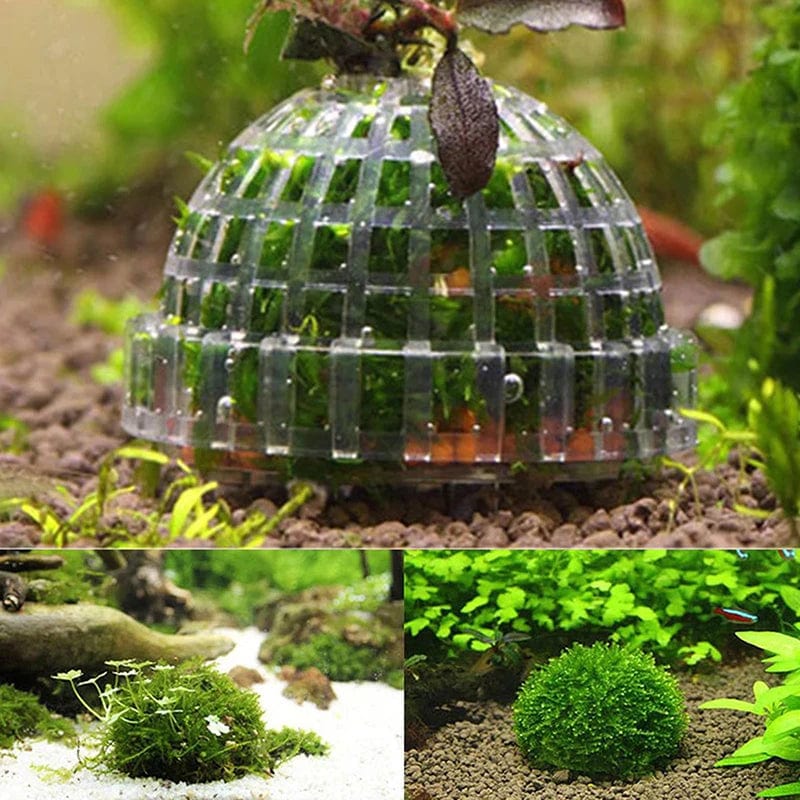 Aquariumdecoratie Mosbal Voor Garnalen Decoratief Element 2