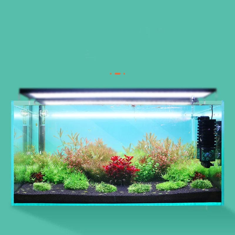Aquariumfilter USB-zuiveringstechnologie Compact en Lichtgewicht 1