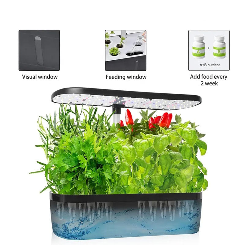 Binnen Hydrocultuur Kweeksysteem voor 12 Planten 7