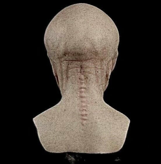 Buitenaards Masker Realistisch voor Halloween 5