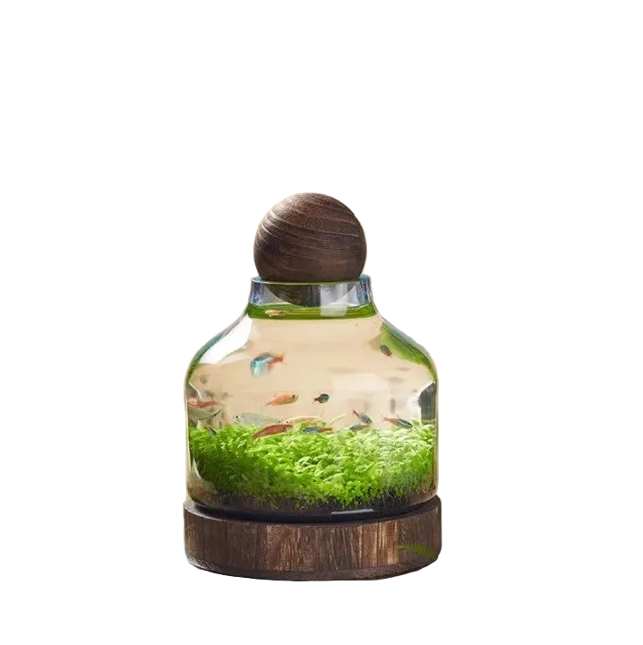 Compact Glazen Aquarium Minimalistisch voor Kleine Ruimtes