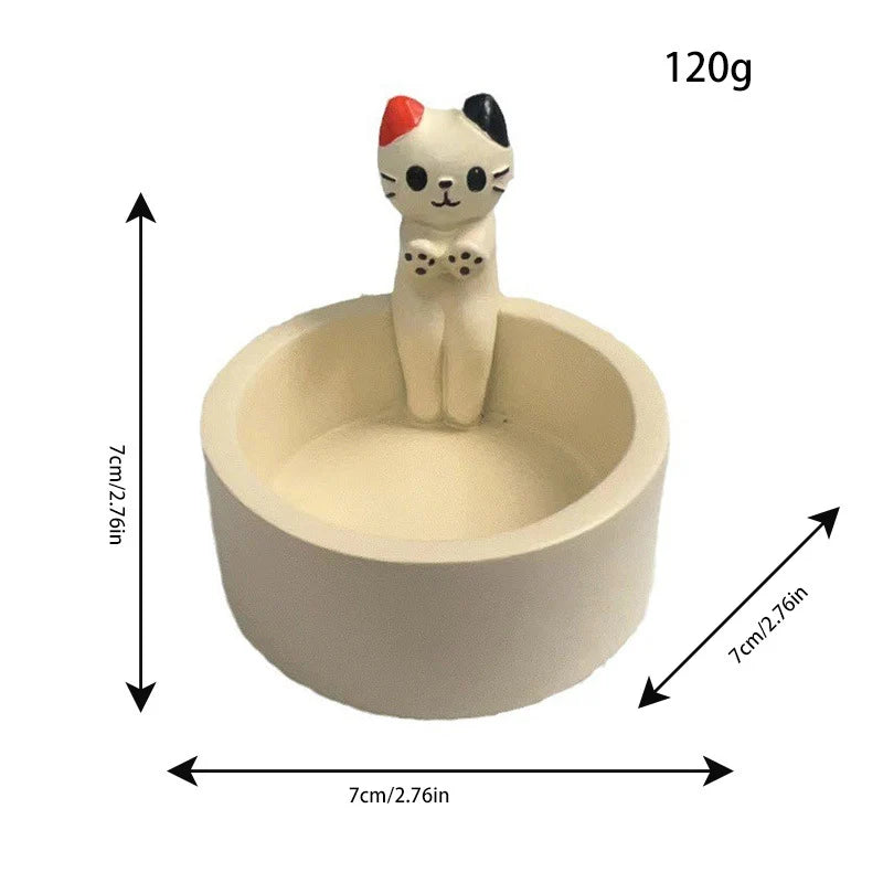 Creatief Kattenplankje Decoratief en Functioneel 4