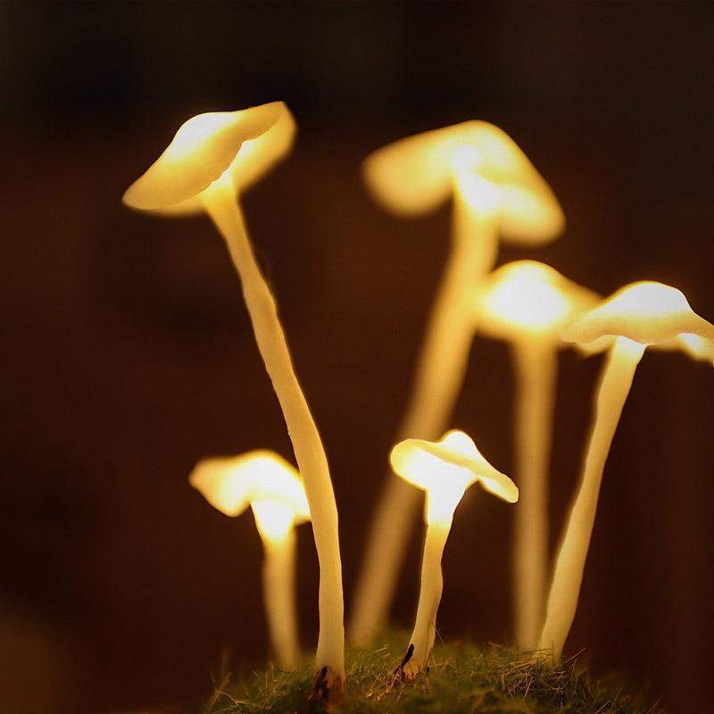 Creatieve DIY Lamp Paddenstoelen voor Thuis Decoratie 6