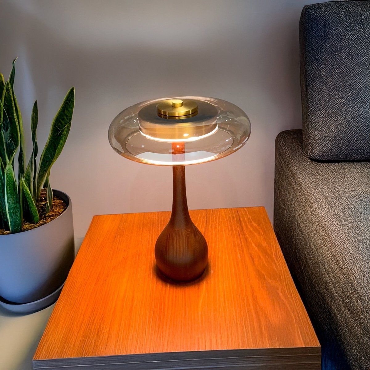 Dimbare LED-tafellamp met Houten Voet Modern Design 3