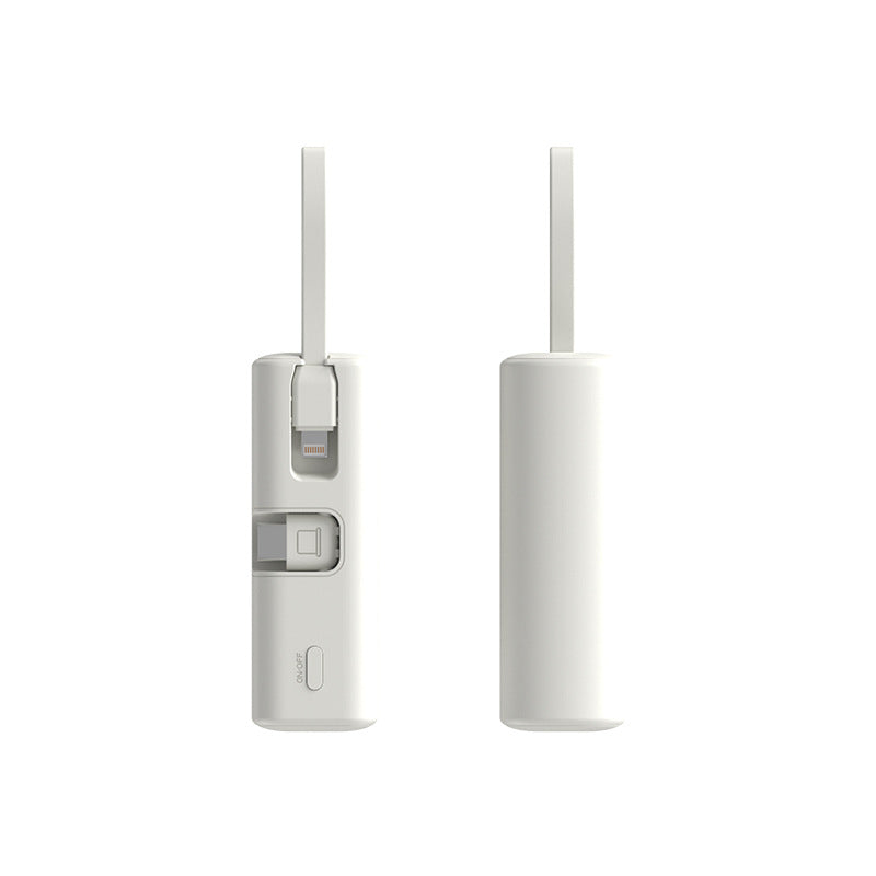 Draagbare Powerbank met Snellaadfunctie en Geïntegreerde Oplaadkabel voor Universeel Gebruik 1
