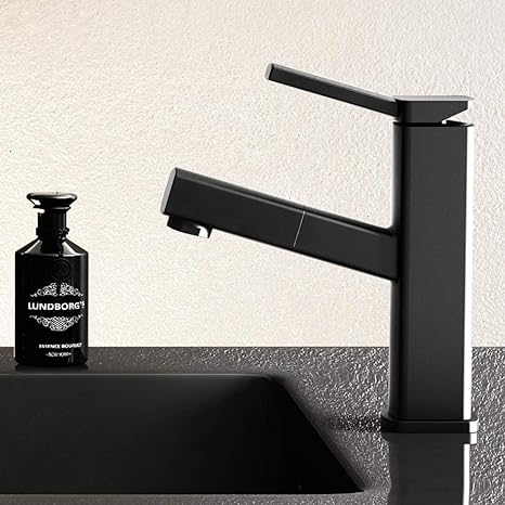 Eéngreeps Uittrekbare Badkraan Modern 3