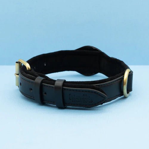 Halsband Hond met AirTag Bevestiging Waterdicht en Duurzaam voor Alle Weerseisen 6