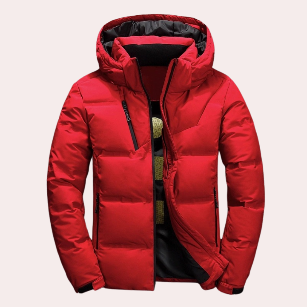 Heren Winterjacke Met Capuchon Casual Moderne Stijl 5