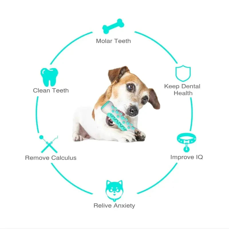 Honden Kauwspeeltje Tandverzorging 360 Graden Tandenreiniger 4