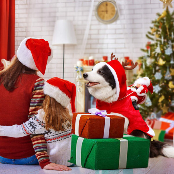 Honden Kostuum voor Kerstman Feestelijk 1