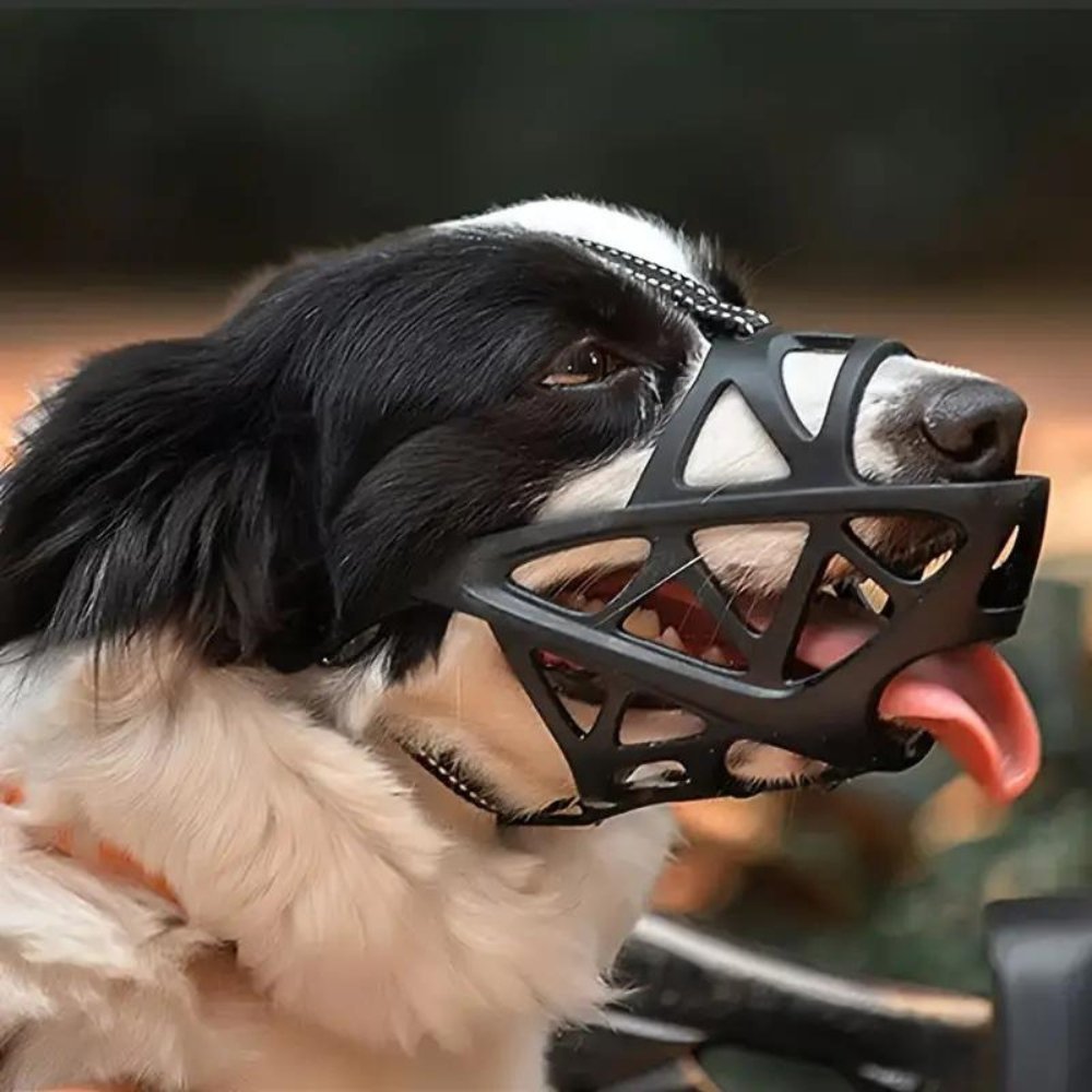Honden Muilkorf Ademend Voor Dagelijks Gebruik 7