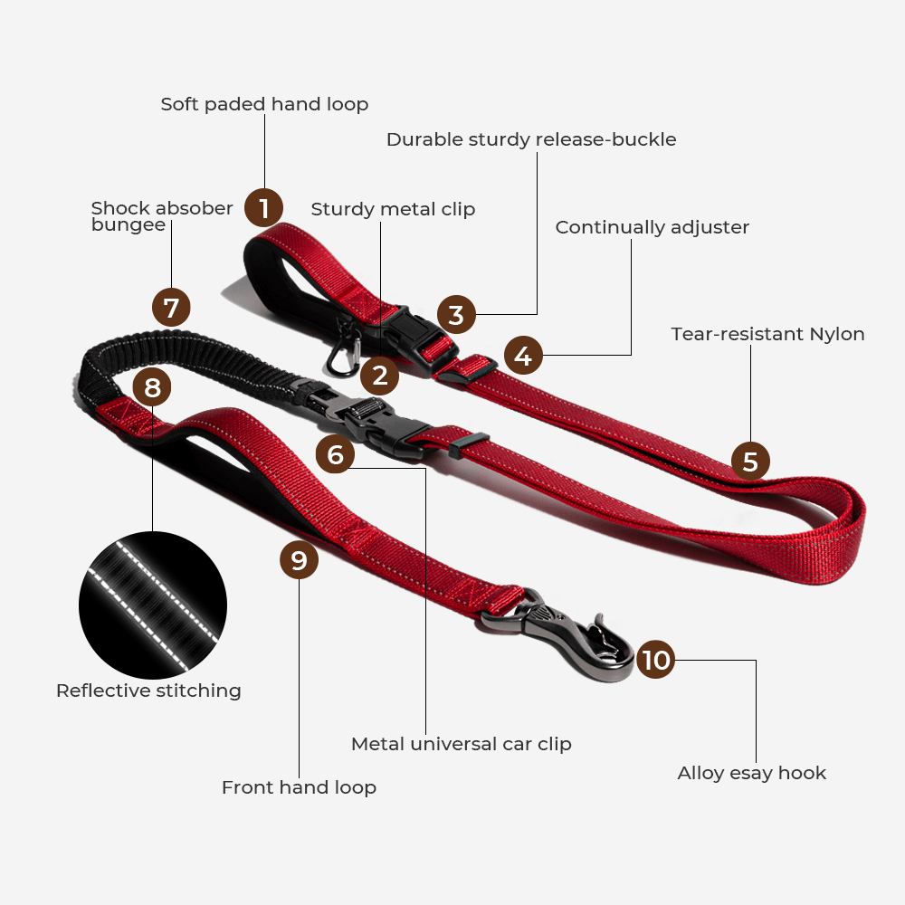 Honden Regenjas Reflecterend Waterdicht met Harnasopening 8