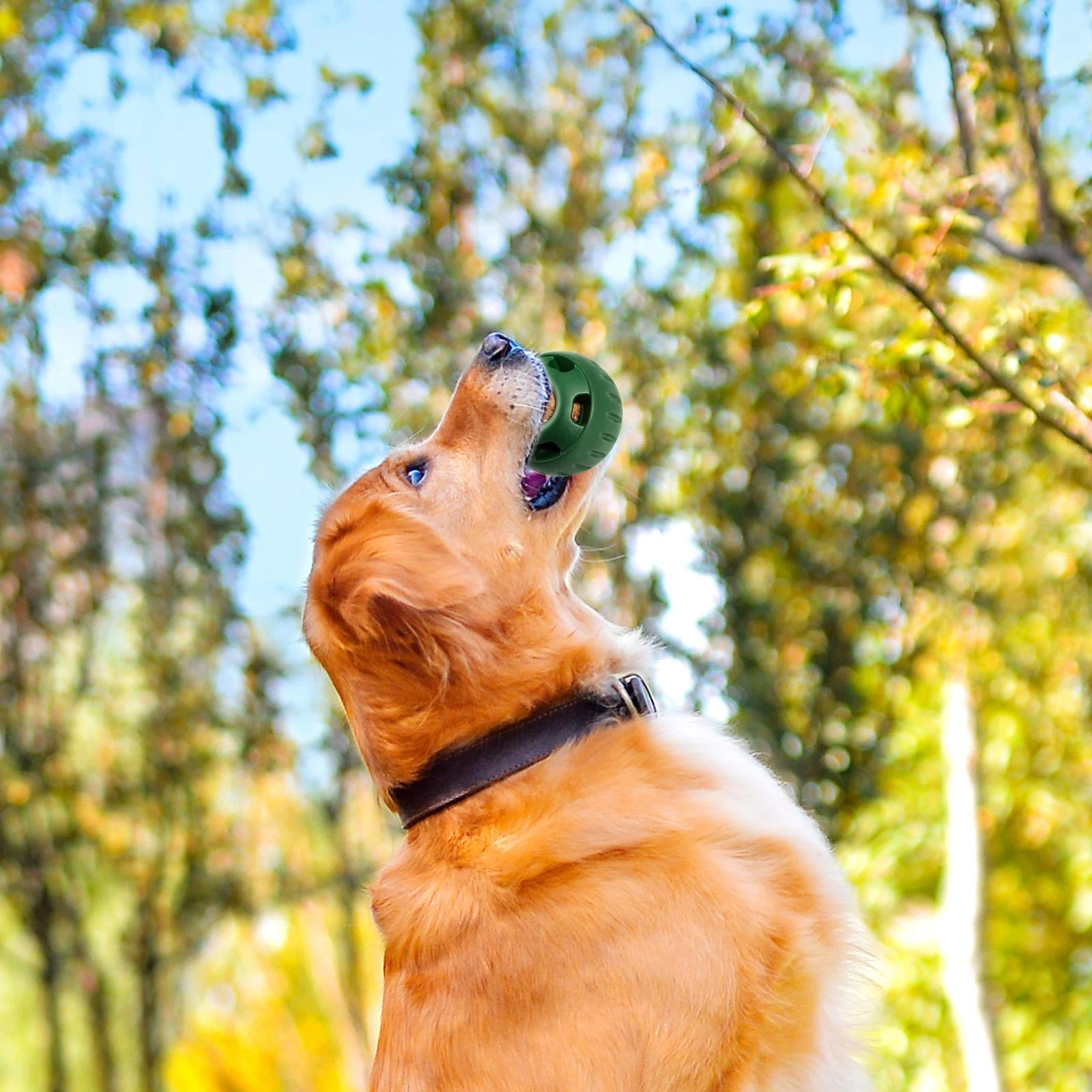 Honden Speelbal Voor Snacks Met Koelfunctie 2