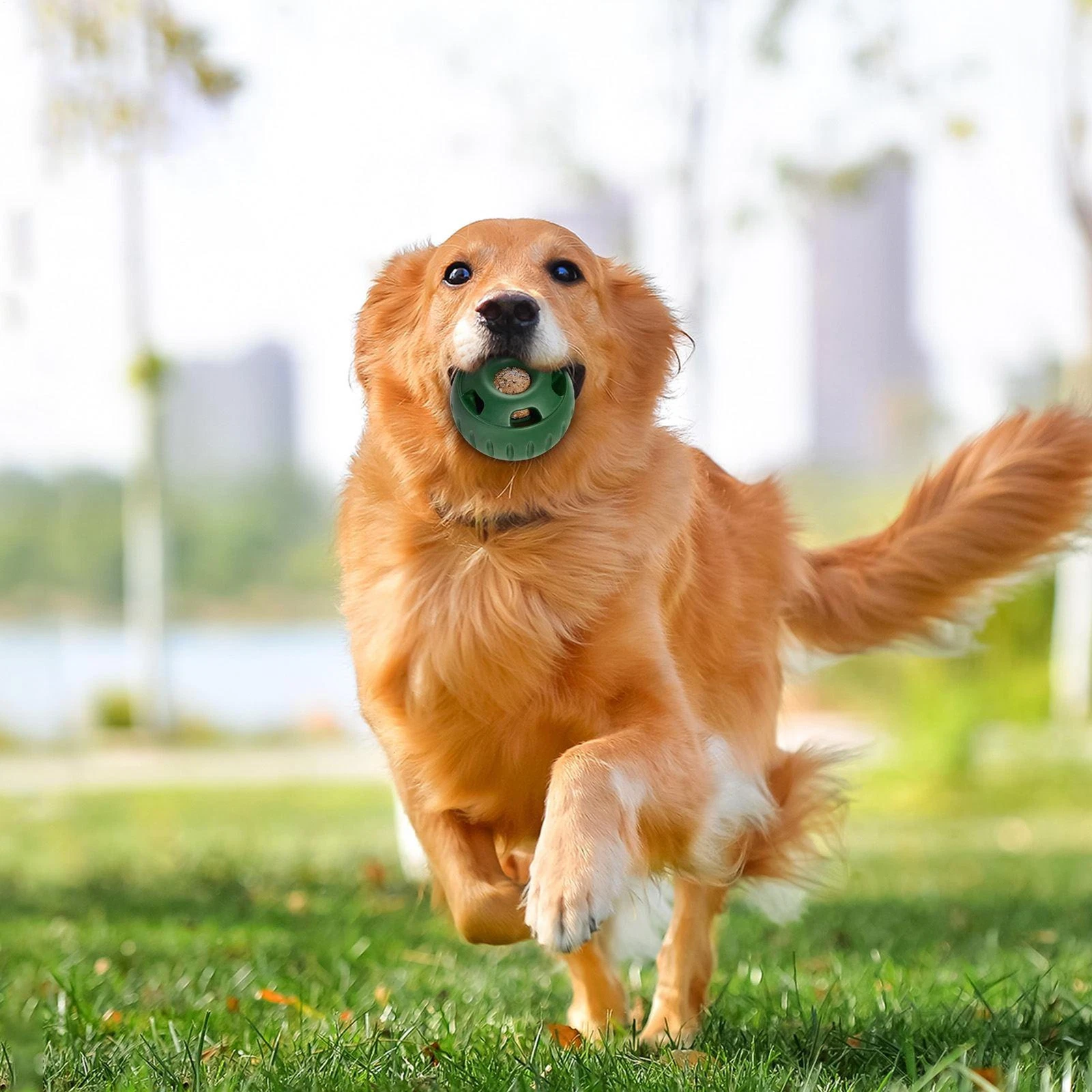 Honden Speelbal Voor Snacks Met Koelfunctie 3