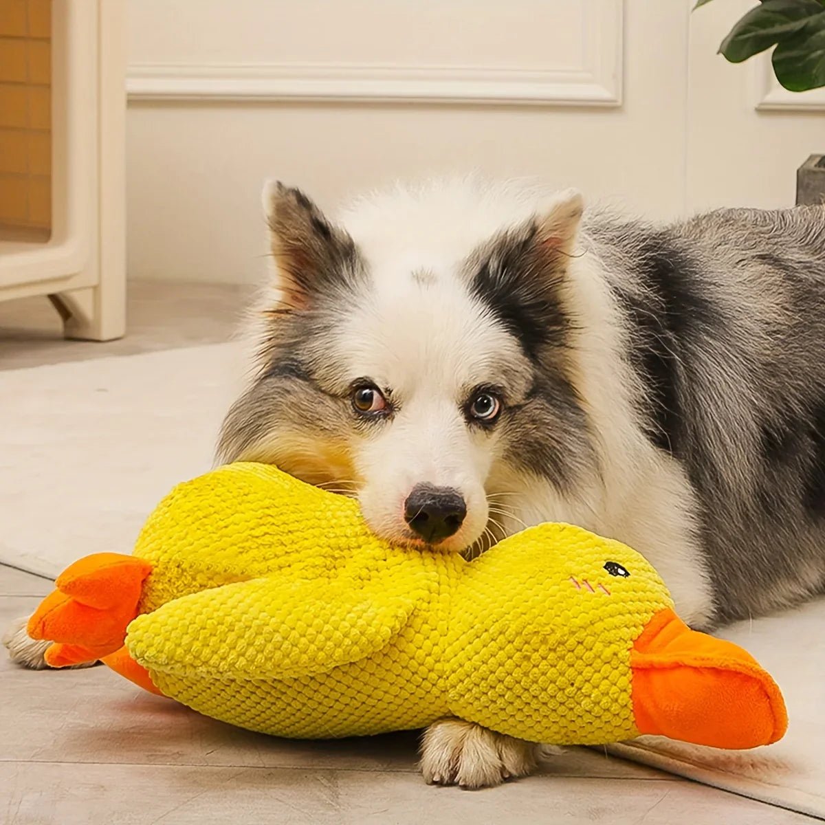 Honden Speelgoed Eend met Kwakgeluid 4