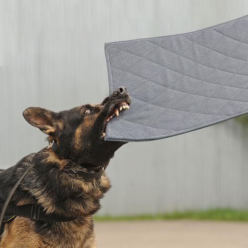 Honden Trainingsmat Duurzaam en Comfortabel 0